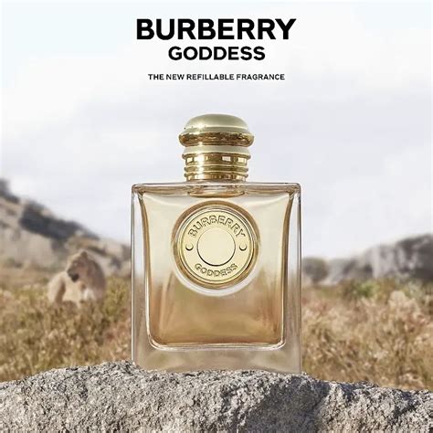 burberry gold perfume|burberry goddess frangrance net.